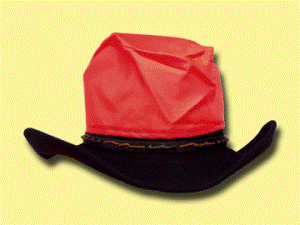 BLAZE_HAT_COVER.gif