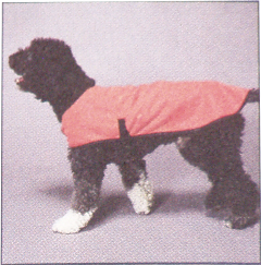 DOG_VEST.jpg.png