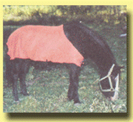 HORSE_BLANKET.gif