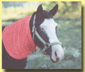 MANE_COVER.gif