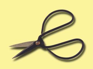 SCISSORS.jpg